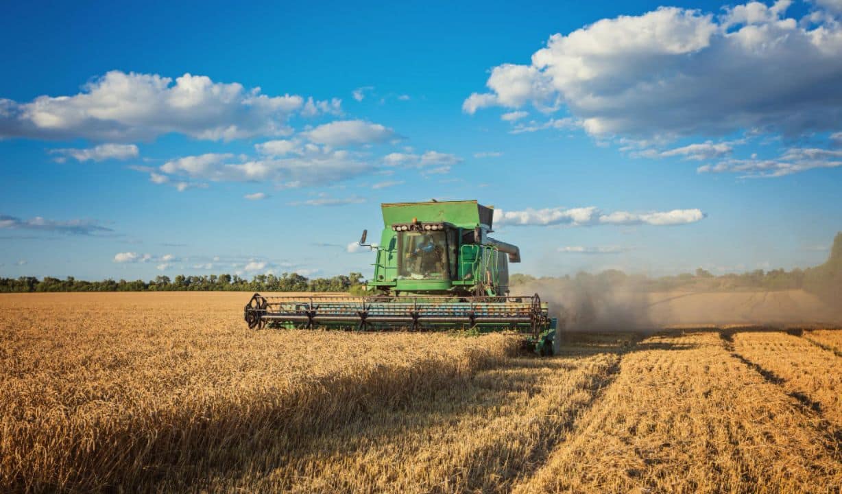 Engenharia de Produção Aplicada ao Agronegócio Impulsionando Eficiência e Sustentabilidade