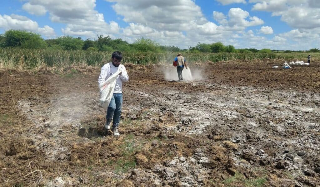 O que é Gesso Agrícola?